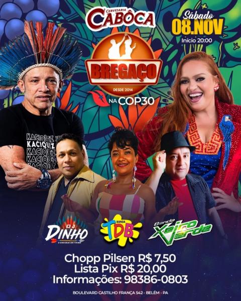 Dj Dinho, Banda TDB e Banda Xeiro Verde