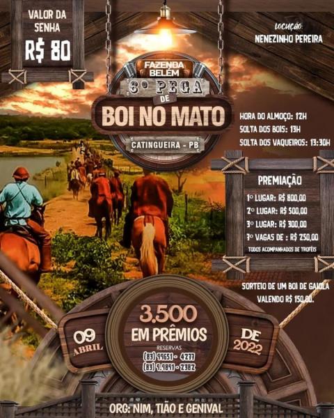 6º Pega de Boi no Mato