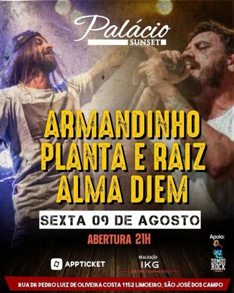 Armandinho, Planta & Raiz e Alma Djem