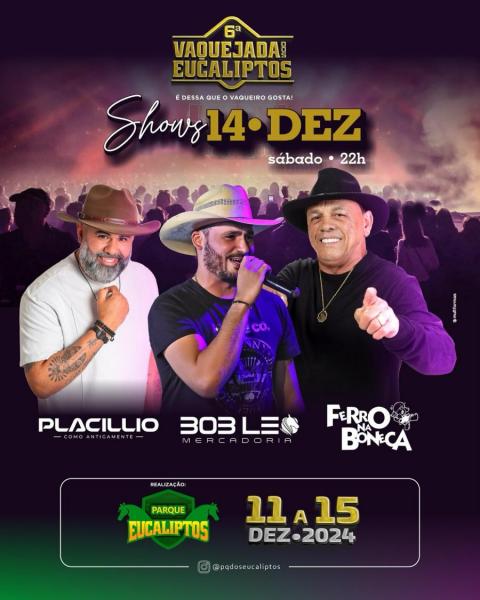 Placillio Diniz, Bob Léo e Ferro na Boneca