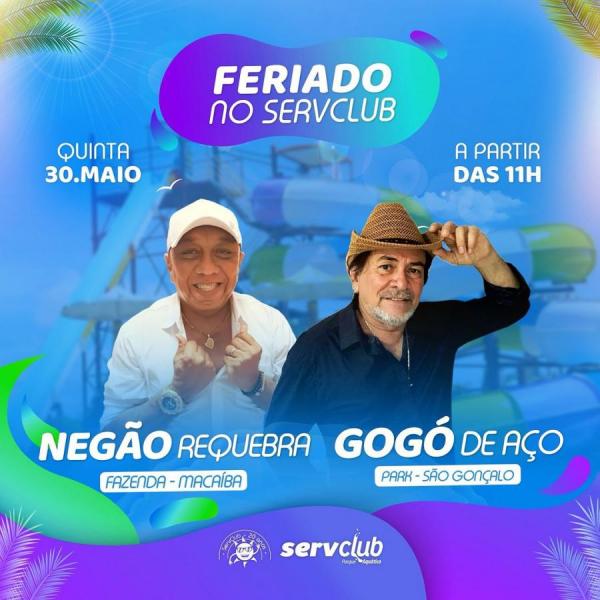 Gogó de Aço