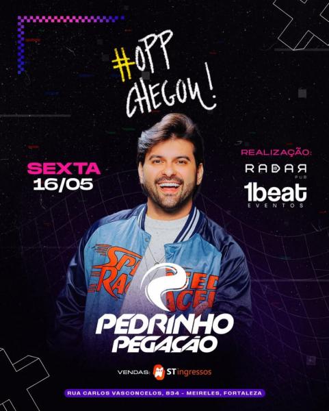 Pedrinho Pegação - O PP Chegou