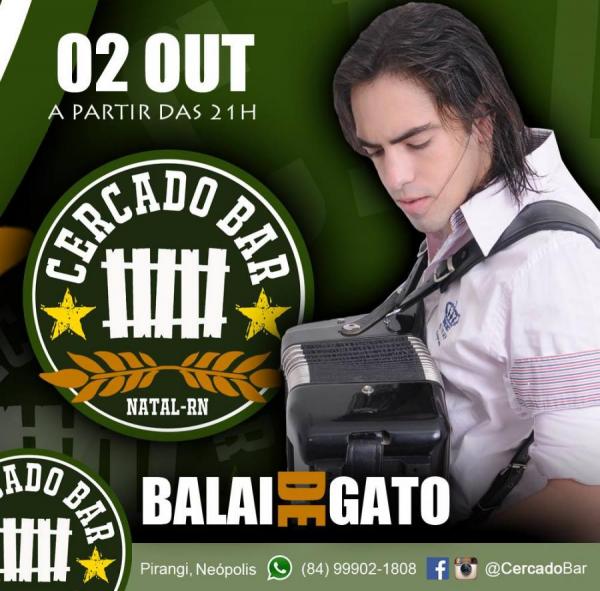 Balaio de Gato