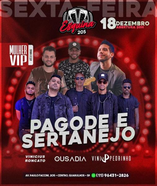 Vinícius Roncato, Ousadia e Vini & èdrinho - Pagode e Sertanejo