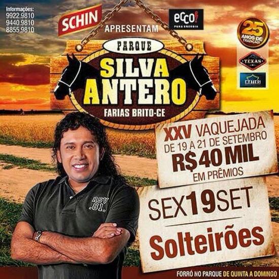 Solteirões