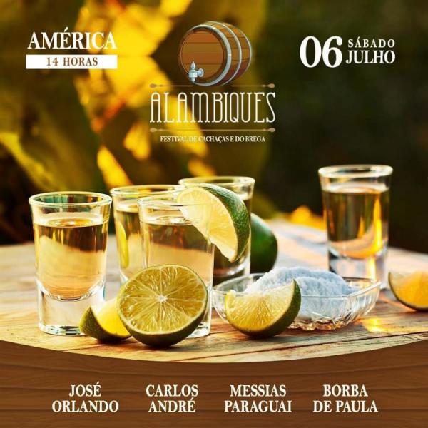 José Orlando, Carlos André, Messias Paraguai e Borba de Paula - Festival Alambiques
